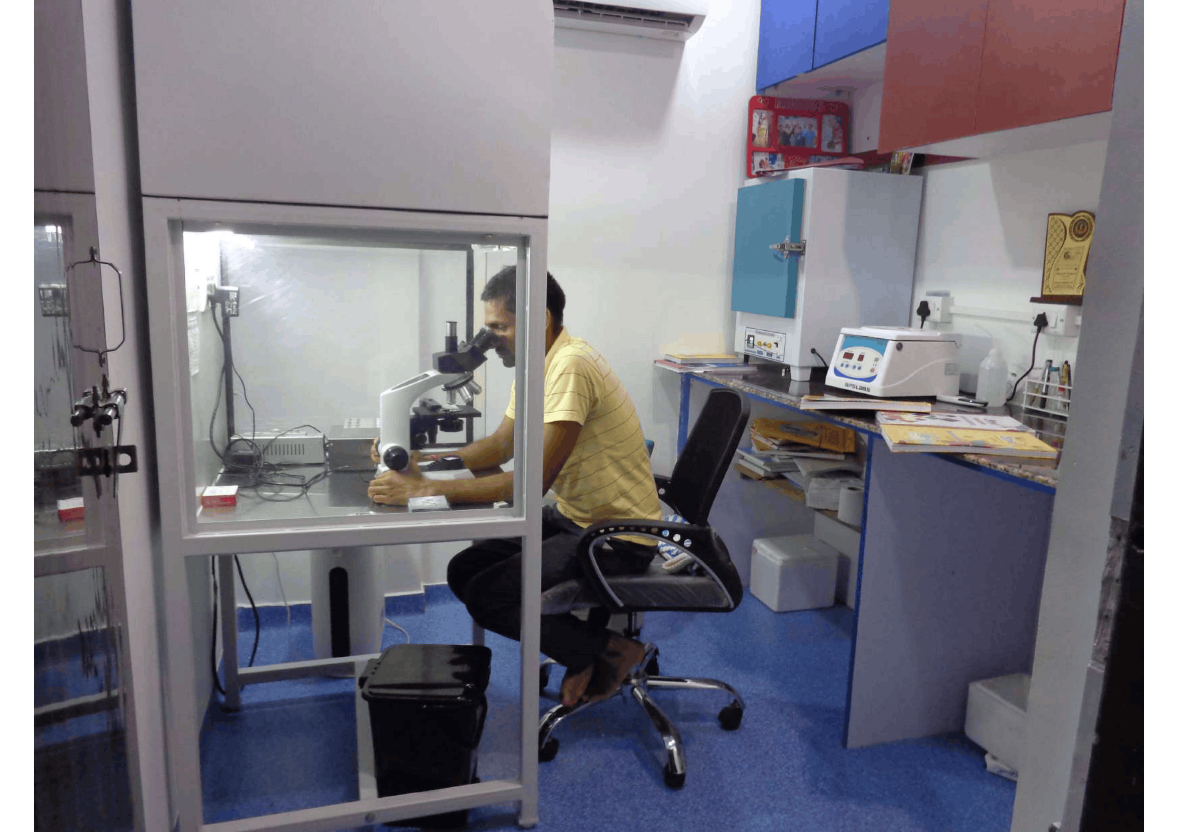 IUI treatment process timing and success factors in Patna