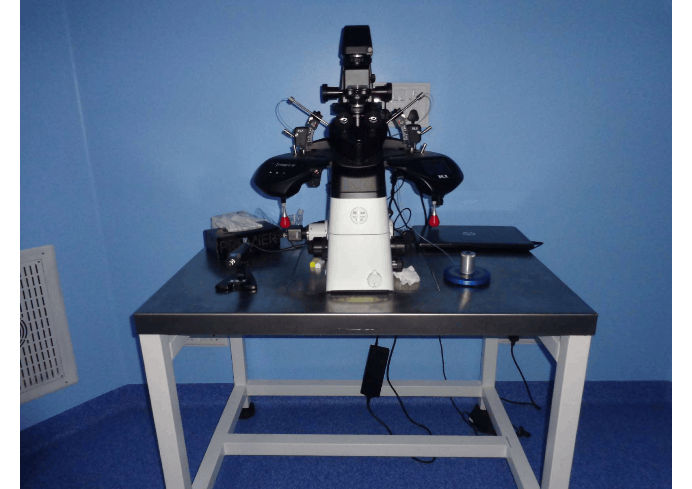 Precision ICSI